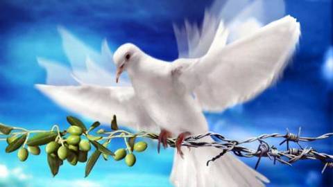 COMMENT RECONNAÎTRE UN ENFANT DE DIEU? HOW TO RECOGNIZE A CHILD OF GOD?