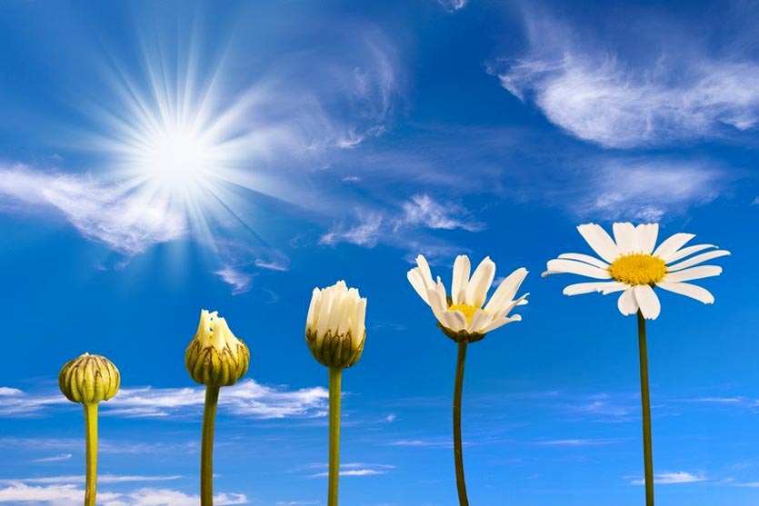 METTRE SON DON AU SERVICE/ PUTTING YOUR GIFT TO THE SERVICE