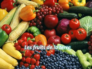 LA TERRE EST BENIE
