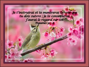 LE COACHING CÉLESTE NOUS EST PROMIS